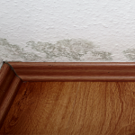 Benefits Of Hiring A Professional Mold Inspector